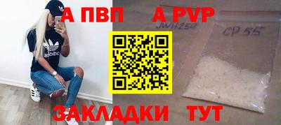 стаф Кунгур