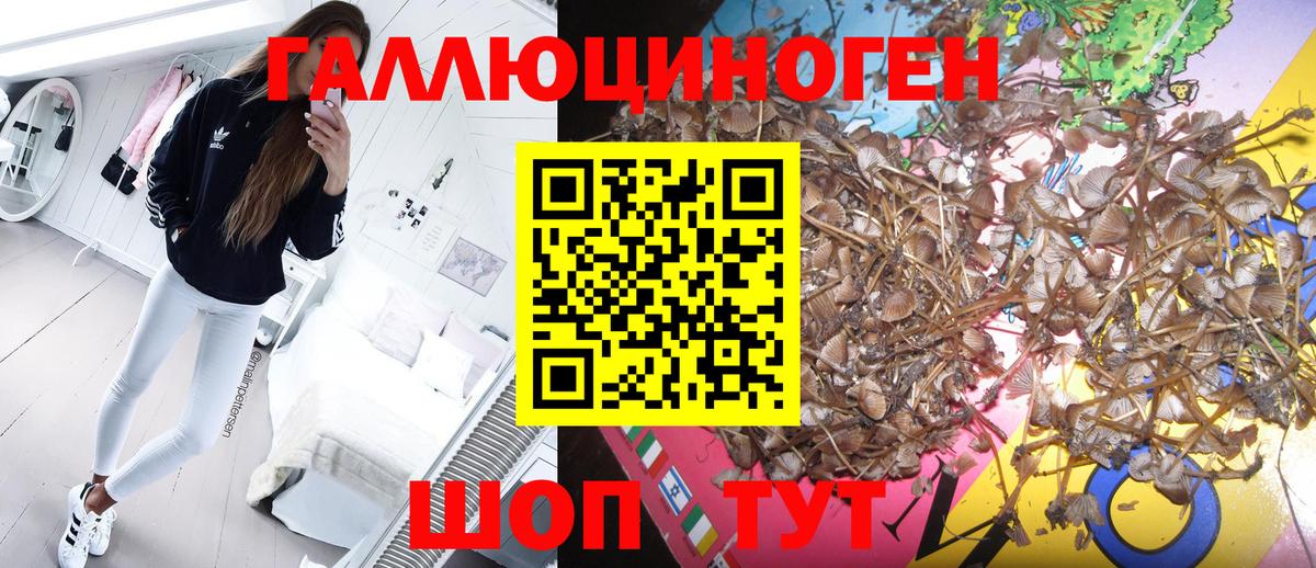 Псилоцибиновые грибы MAGIC MUSHROOMS Егорьевск